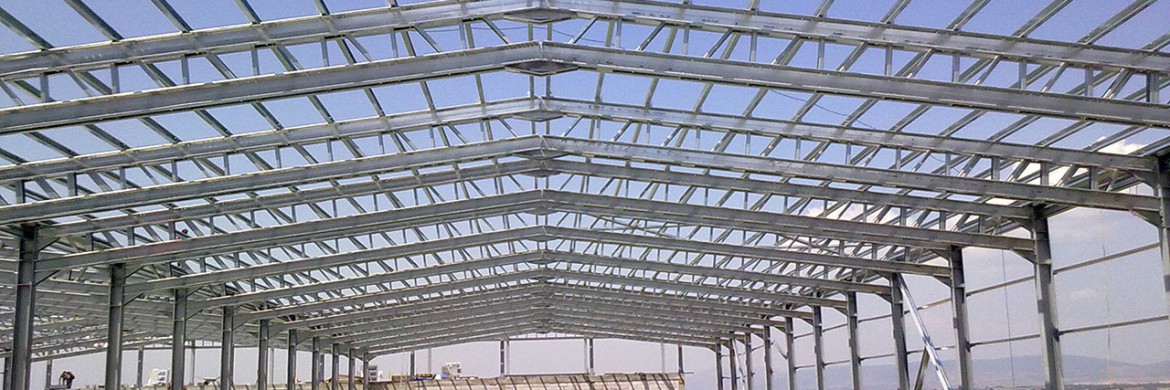 Where Are Steel Roof Systems Most Commonly Used in Construction?